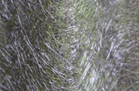 Bowling Bank fibreglass roof work